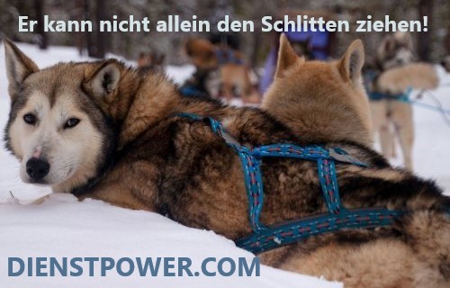 Werde Kooperation- Geschäftspartner: in, Lieferant: in oder Investor: in - ZURÜCK