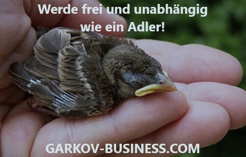 Werde Kooperation- Geschäftspartner: in, Lieferant: in oder Investor: in - ZURÜCK